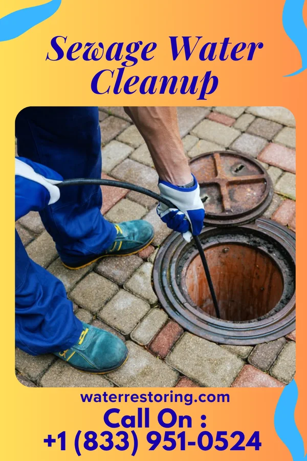 Sewage Water Cleanup in Sparta, WI